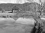 mt-george-august 024-bw